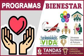 Programas sociales y su influencia en el resultado de la elección en&nbsp;México